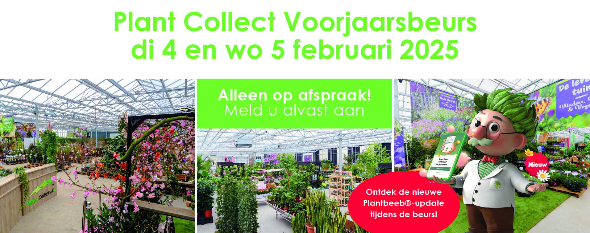 Picture for category test jpeg image 1